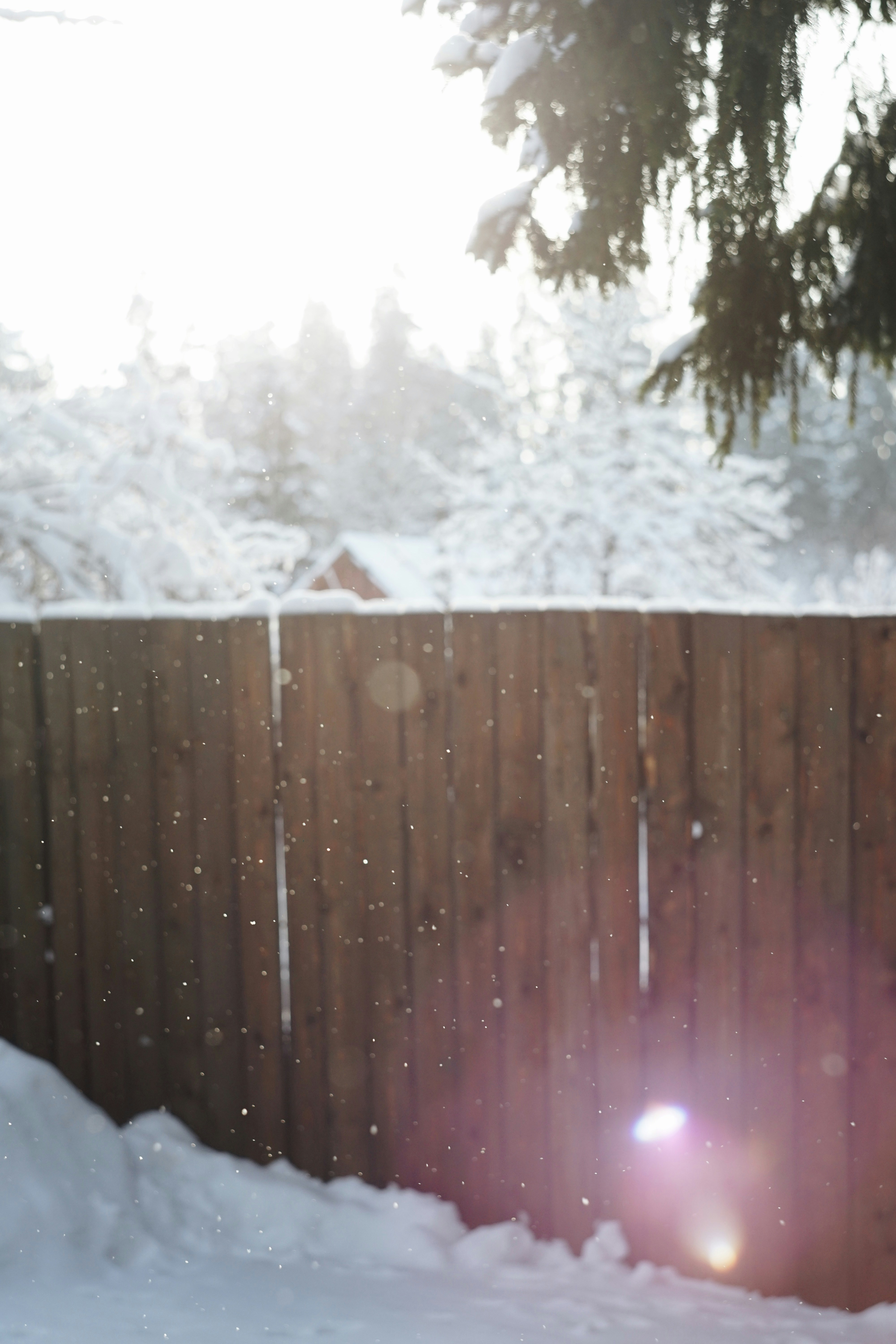 Photo by veragorbunova