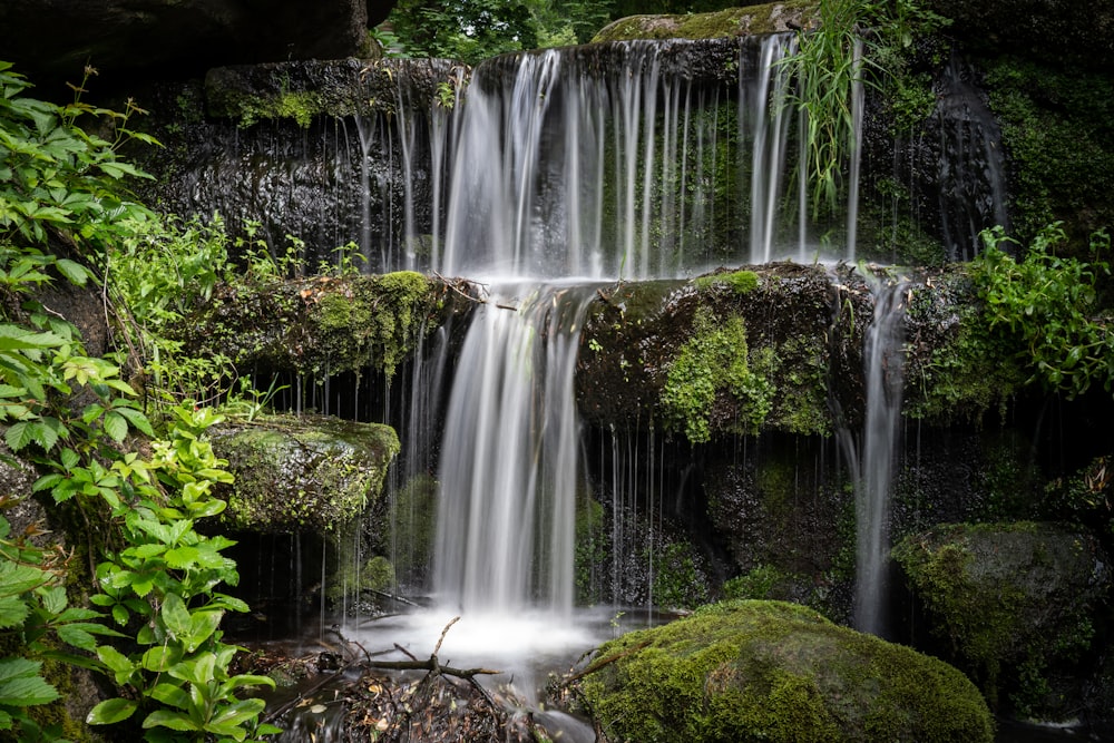 water falls in the middle of green moss covered rocks