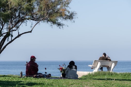 couple sitting on green grass near body of water during daytime in Tyre Lebanon