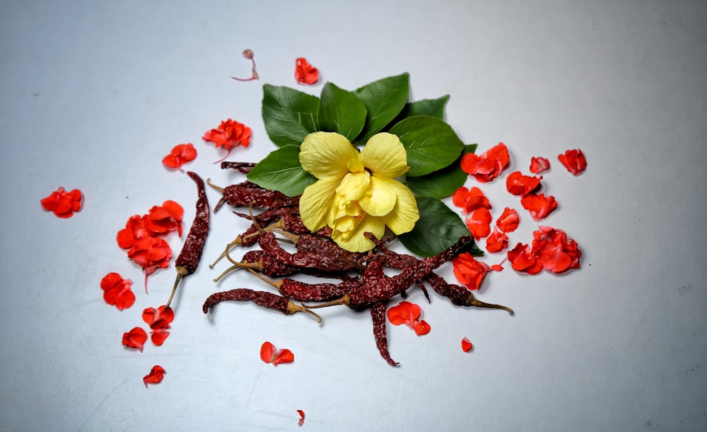 yellow and red flower on white surface