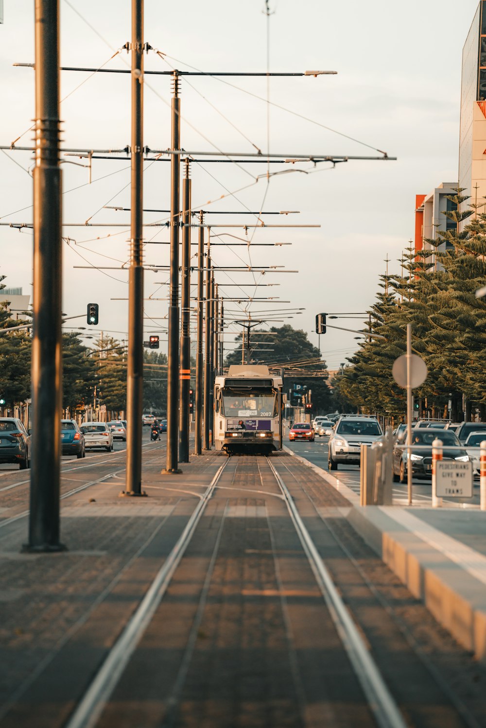 white and black bus on road during daytime