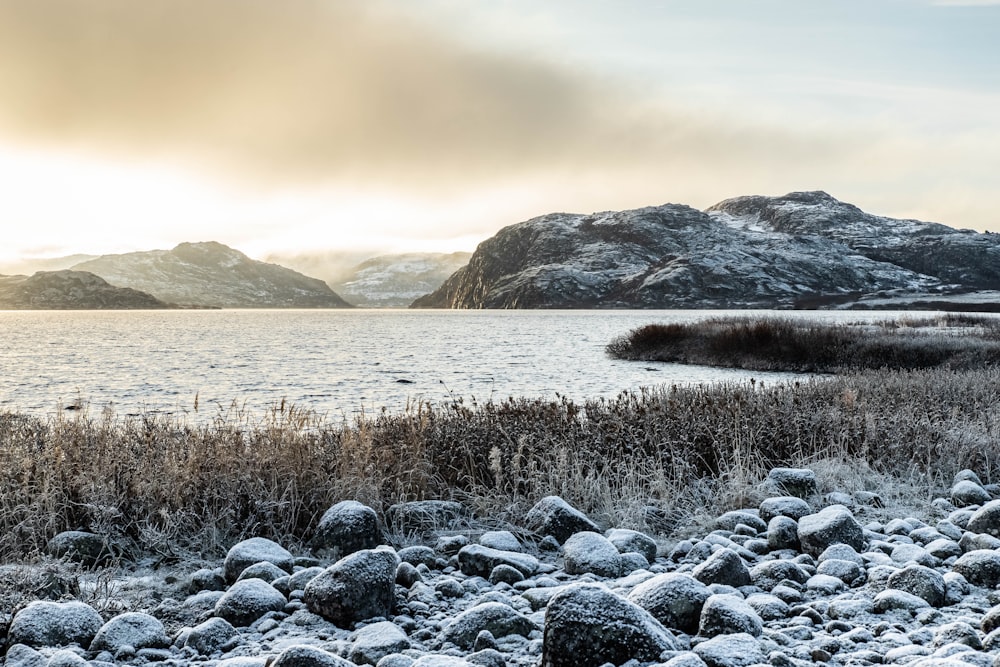 gray and white stones near body of water during daytime