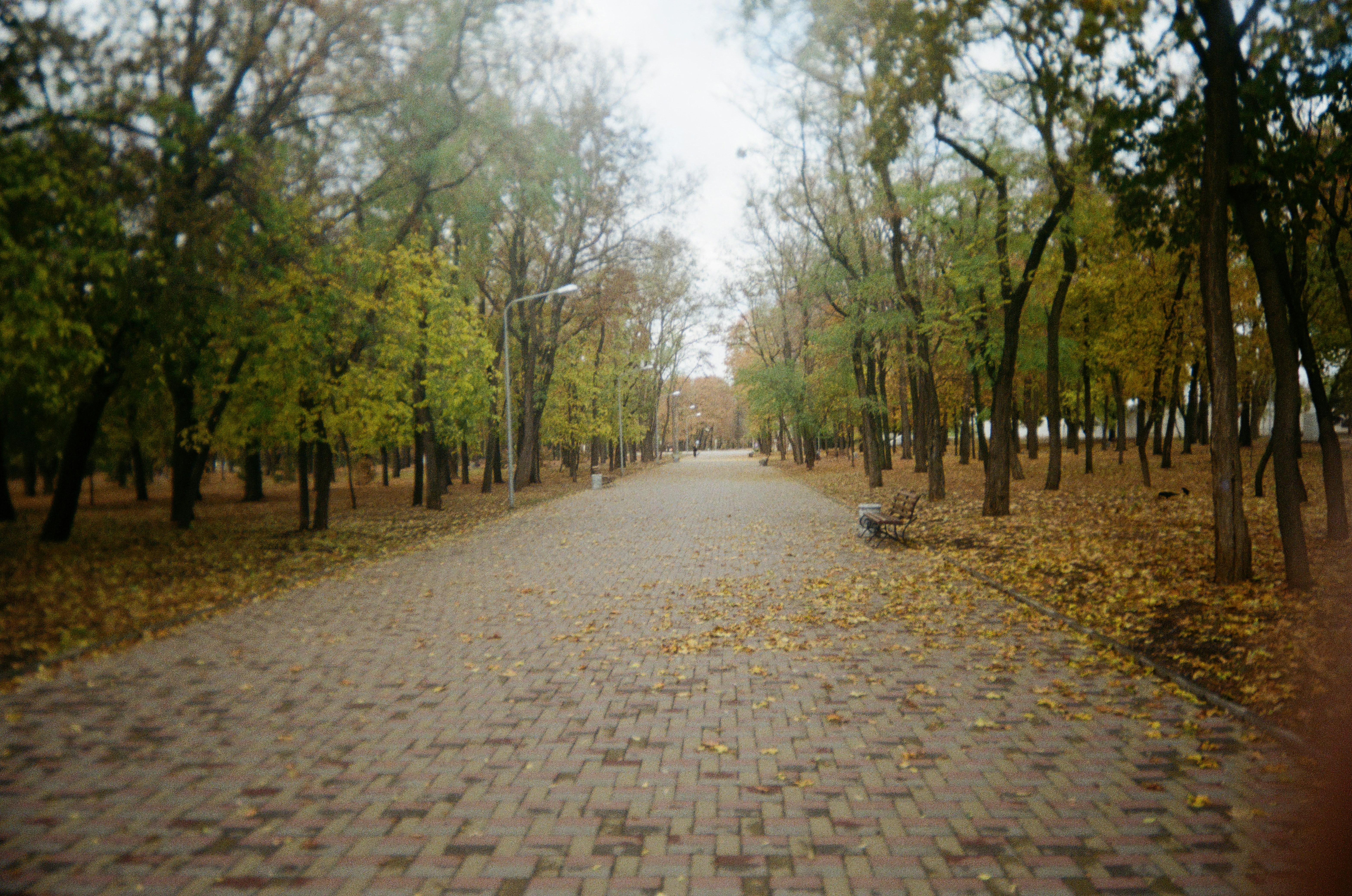 Photo by kirkarma