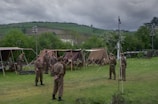 A group of people in military uniform stand in an outdoor area with several canvas tents set up. The scene is set against a backdrop of rolling green hills and cloudy skies. The individuals appear to be engaged in conversation or activities related to a military camp setting.