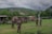A group of people in military uniform stand in an outdoor area with several canvas tents set up. The scene is set against a backdrop of rolling green hills and cloudy skies. The individuals appear to be engaged in conversation or activities related to a military camp setting.