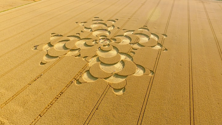 Crop Circles: The Ultimate Enigma