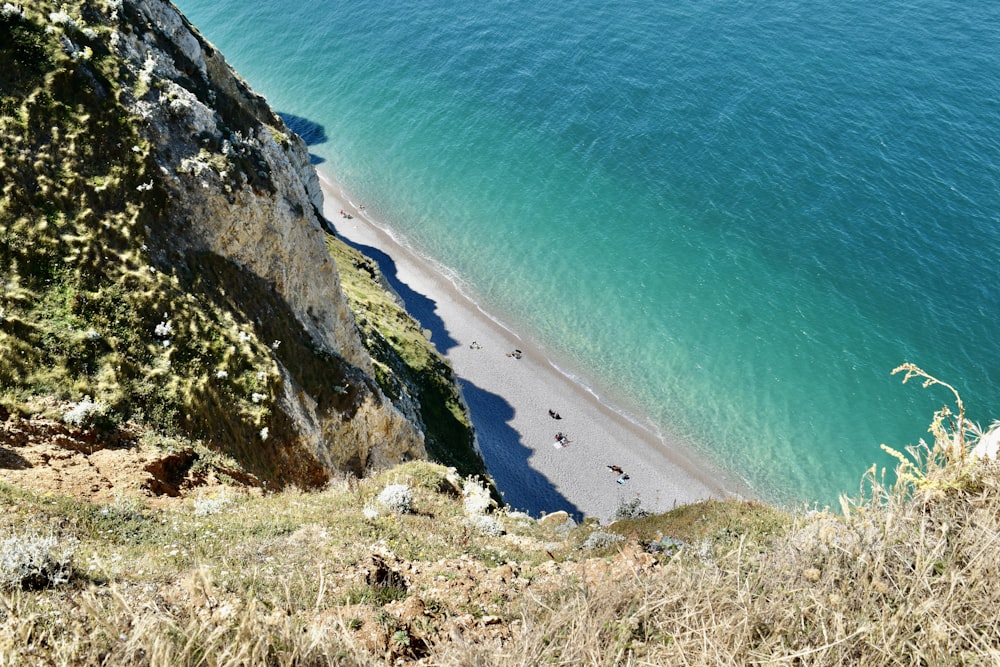 hierba verde en la costa rocosa marrón durante el día