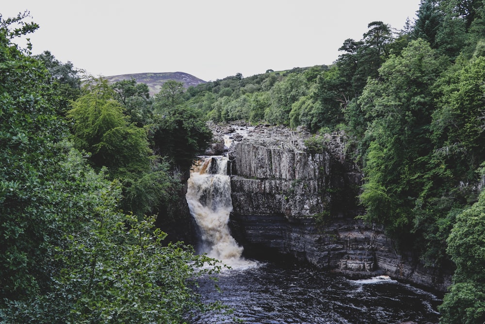 waterfalls in the middle of green trees