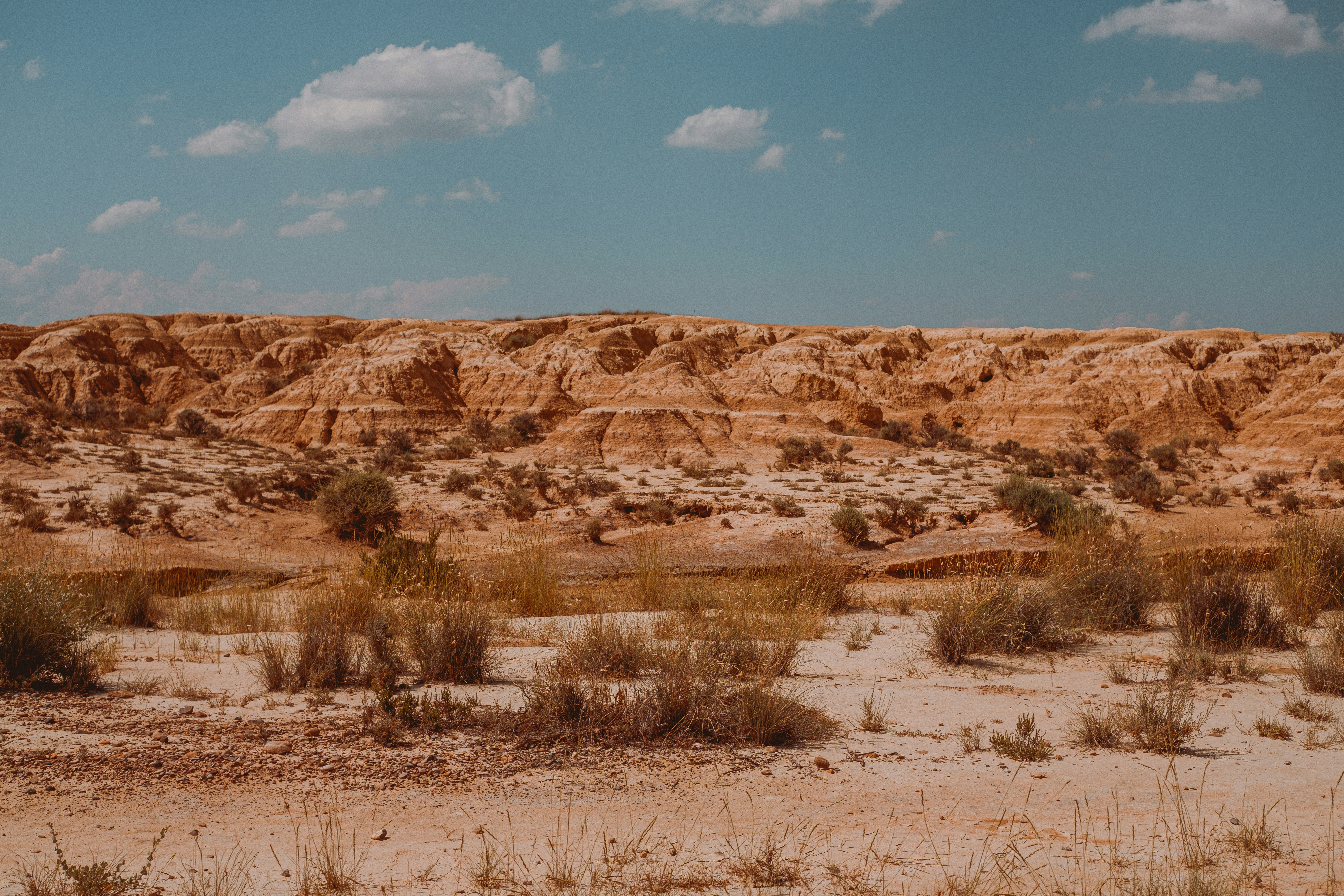 Photo by tomcaptures