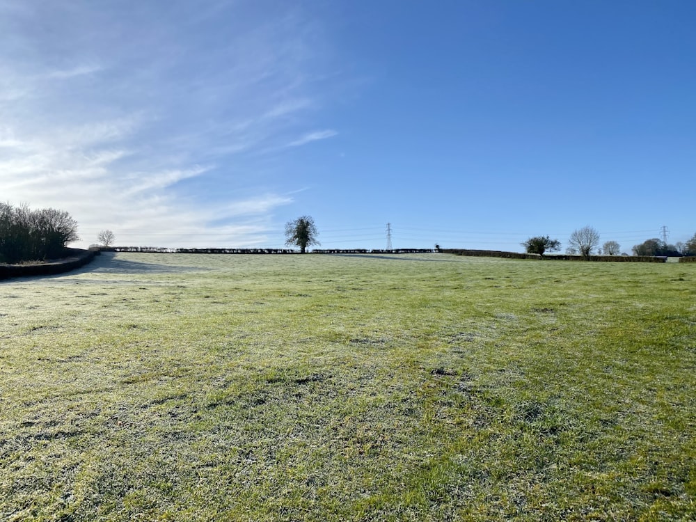 green grass field near body of water under blue sky during daytime