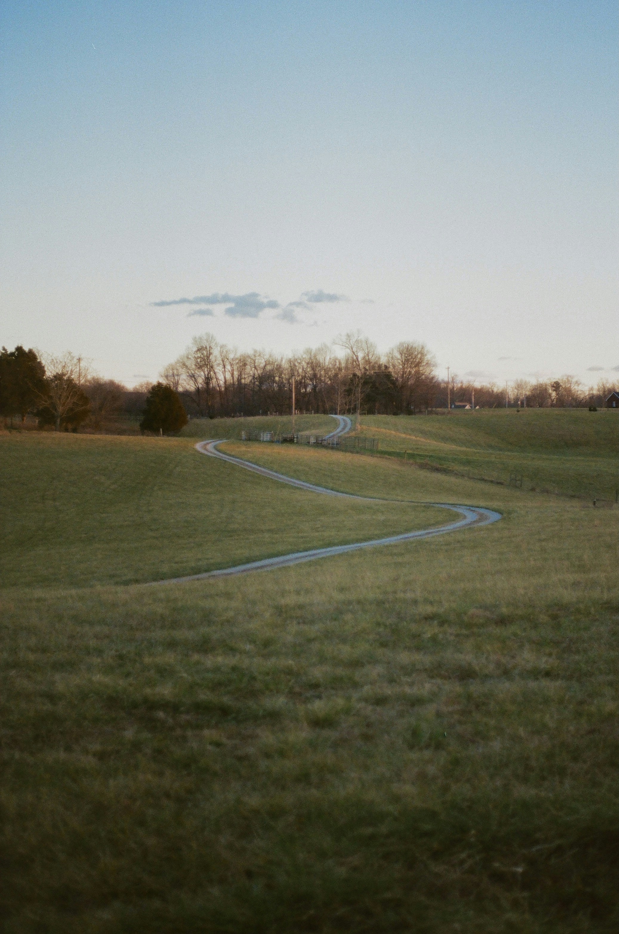 green grass field during daytime