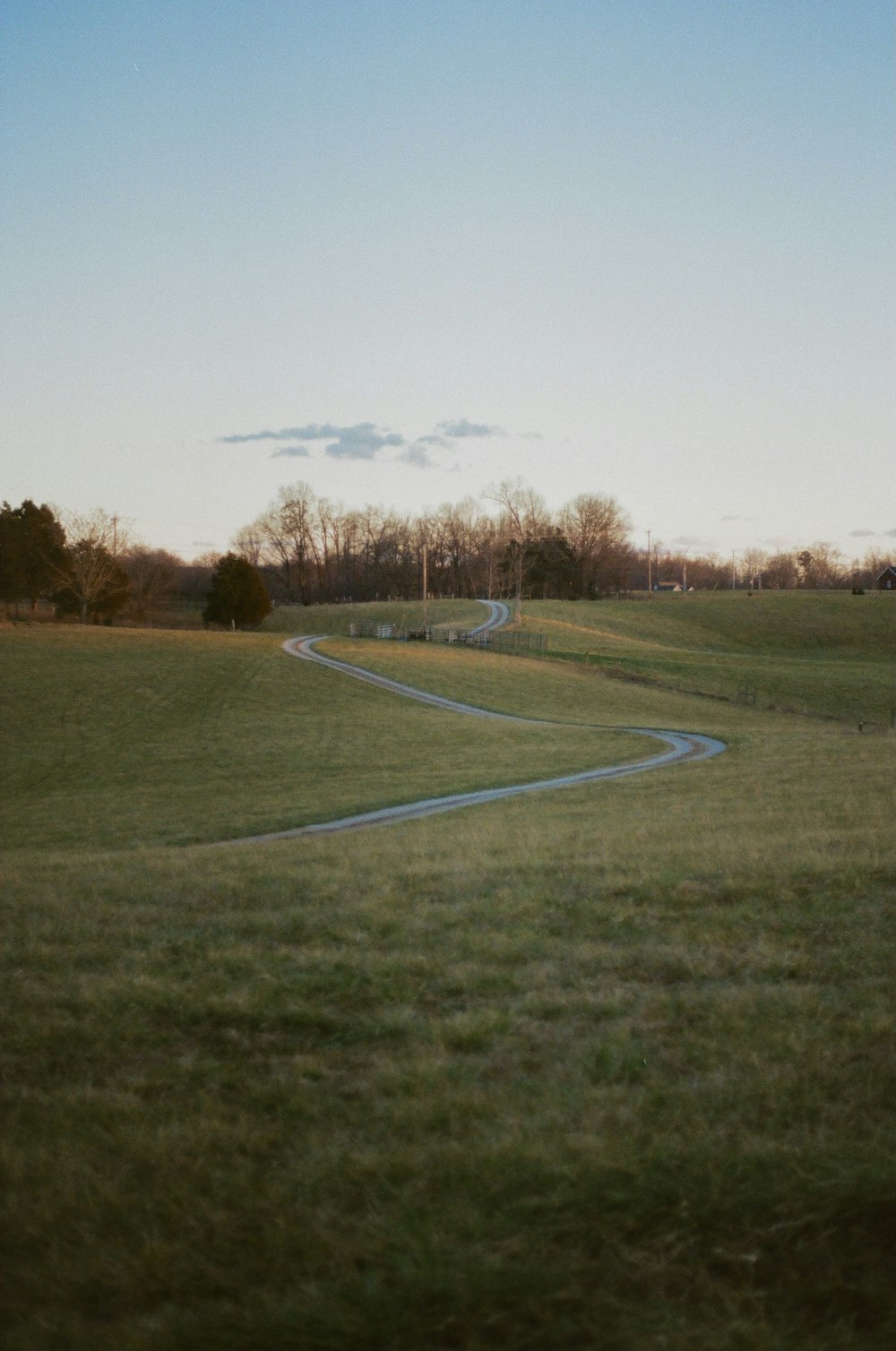 green grass field during daytime