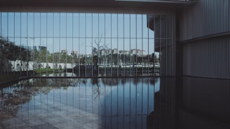 A large glass wall reflects an outdoor scene featuring trees and distant buildings. The water in front of the wall creates a mirrored effect, doubling the reflection. The architecture includes structured lines and surfaces, adding to the modern and sleek aesthetic.