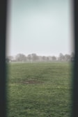 A foggy football field with a large expanse of green grass. In the background, there are several bare trees and two white soccer goals. The scene appears to be devoid of people, and the weather is overcast, contributing to a serene and slightly melancholic atmosphere.