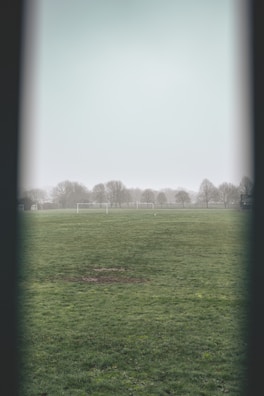 A foggy football field with a large expanse of green grass. In the background, there are several bare trees and two white soccer goals. The scene appears to be devoid of people, and the weather is overcast, contributing to a serene and slightly melancholic atmosphere.