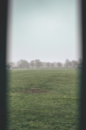 A foggy football field with a large expanse of green grass. In the background, there are several bare trees and two white soccer goals. The scene appears to be devoid of people, and the weather is overcast, contributing to a serene and slightly melancholic atmosphere.