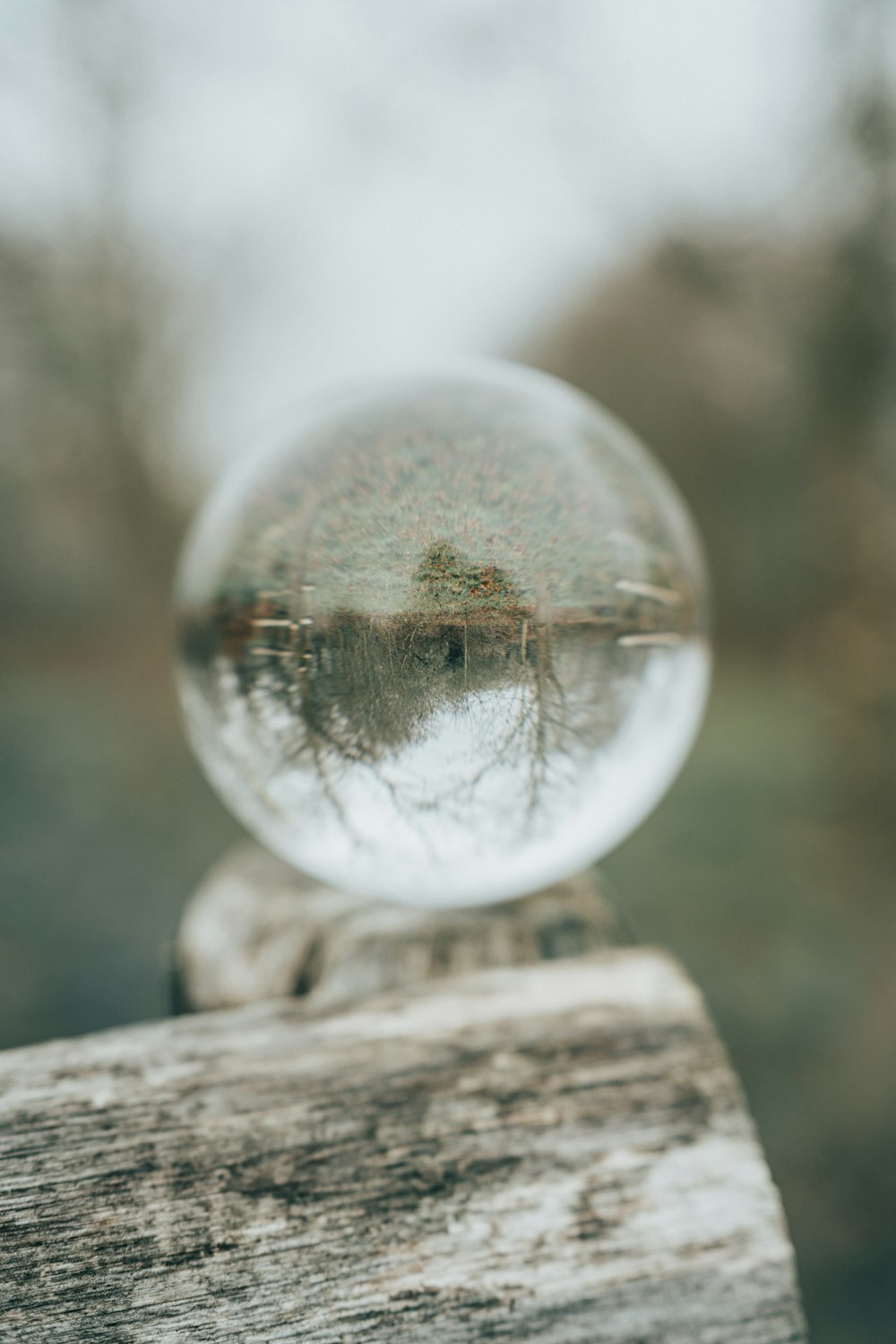 clear glass ball on brown wooden log