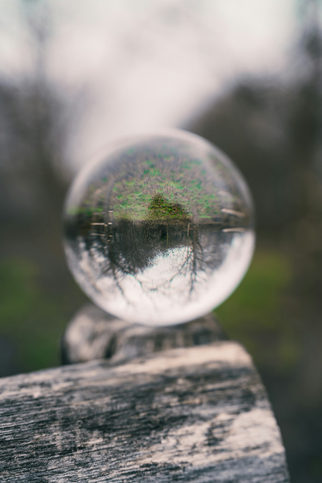 clear glass ball on brown wooden log