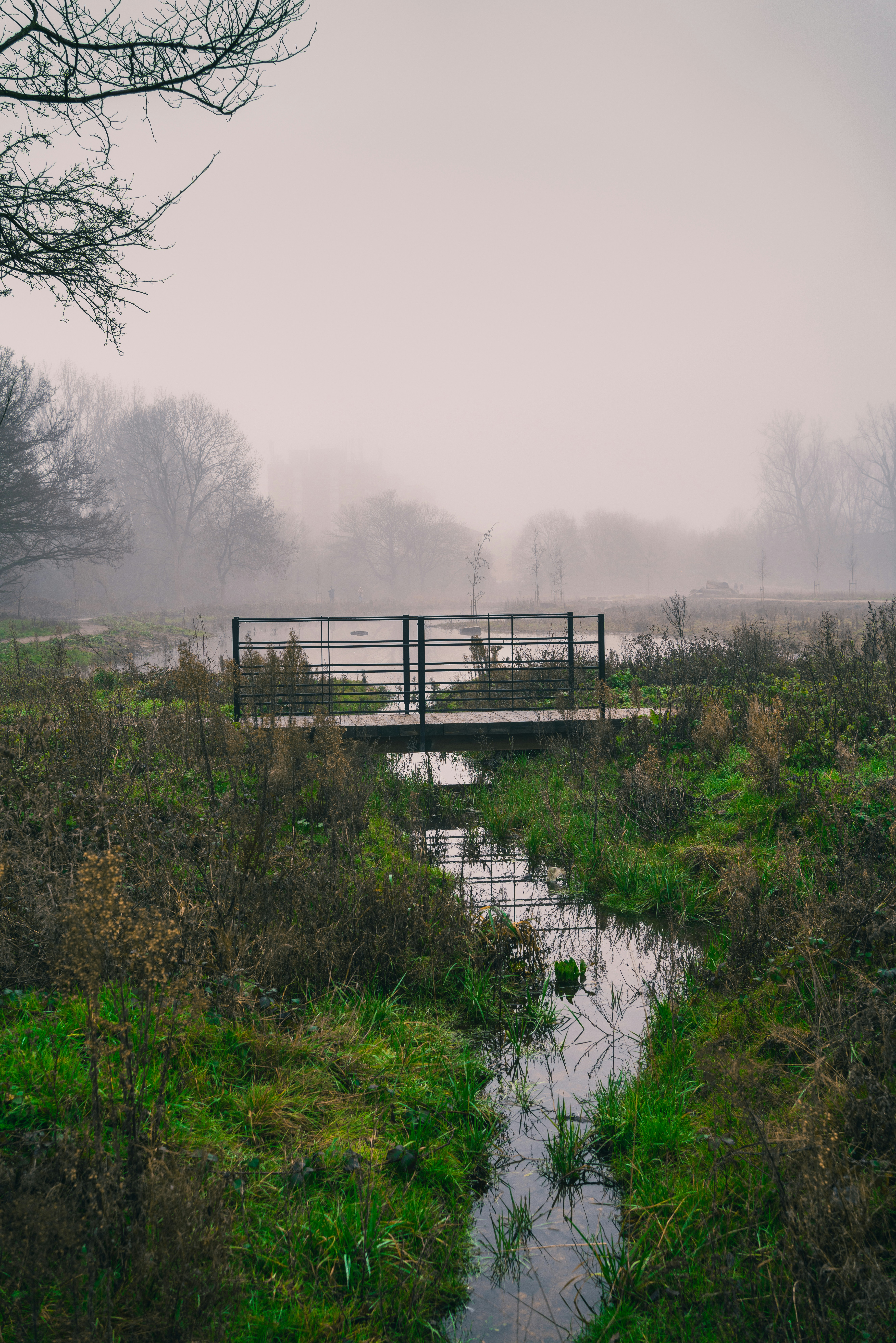 Photo by orangetiephotography