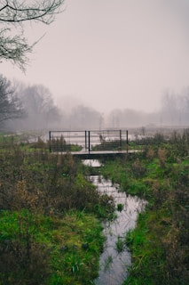 A misty old wooden bridge over a quiet river at dawn, hinting at hidden secrets beneath.