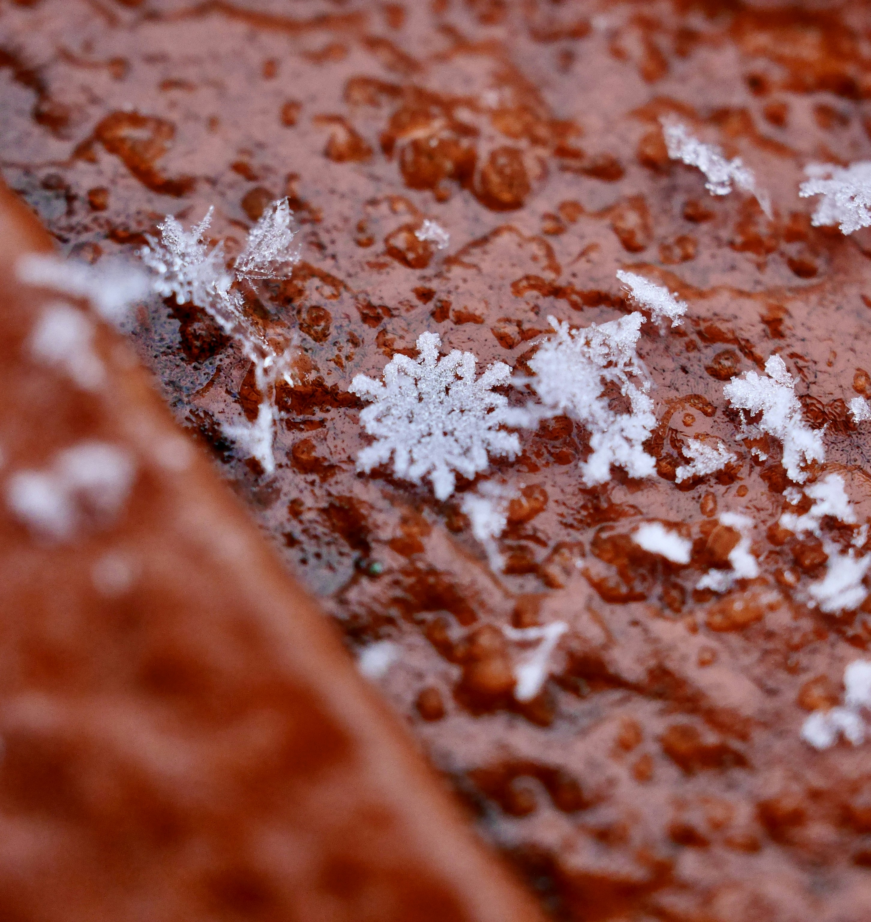 brown and white abstract painting