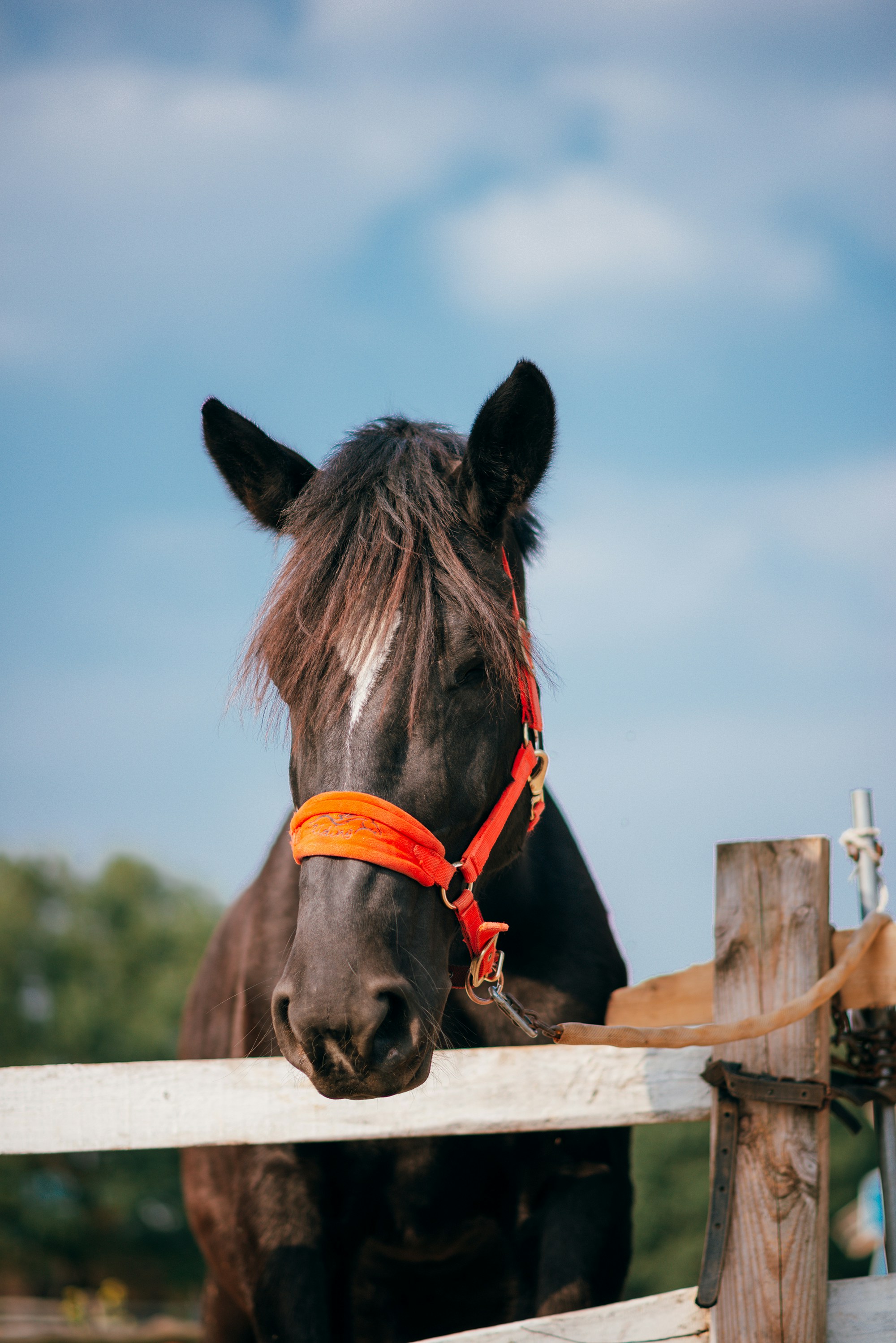 Photo by vincent_tint