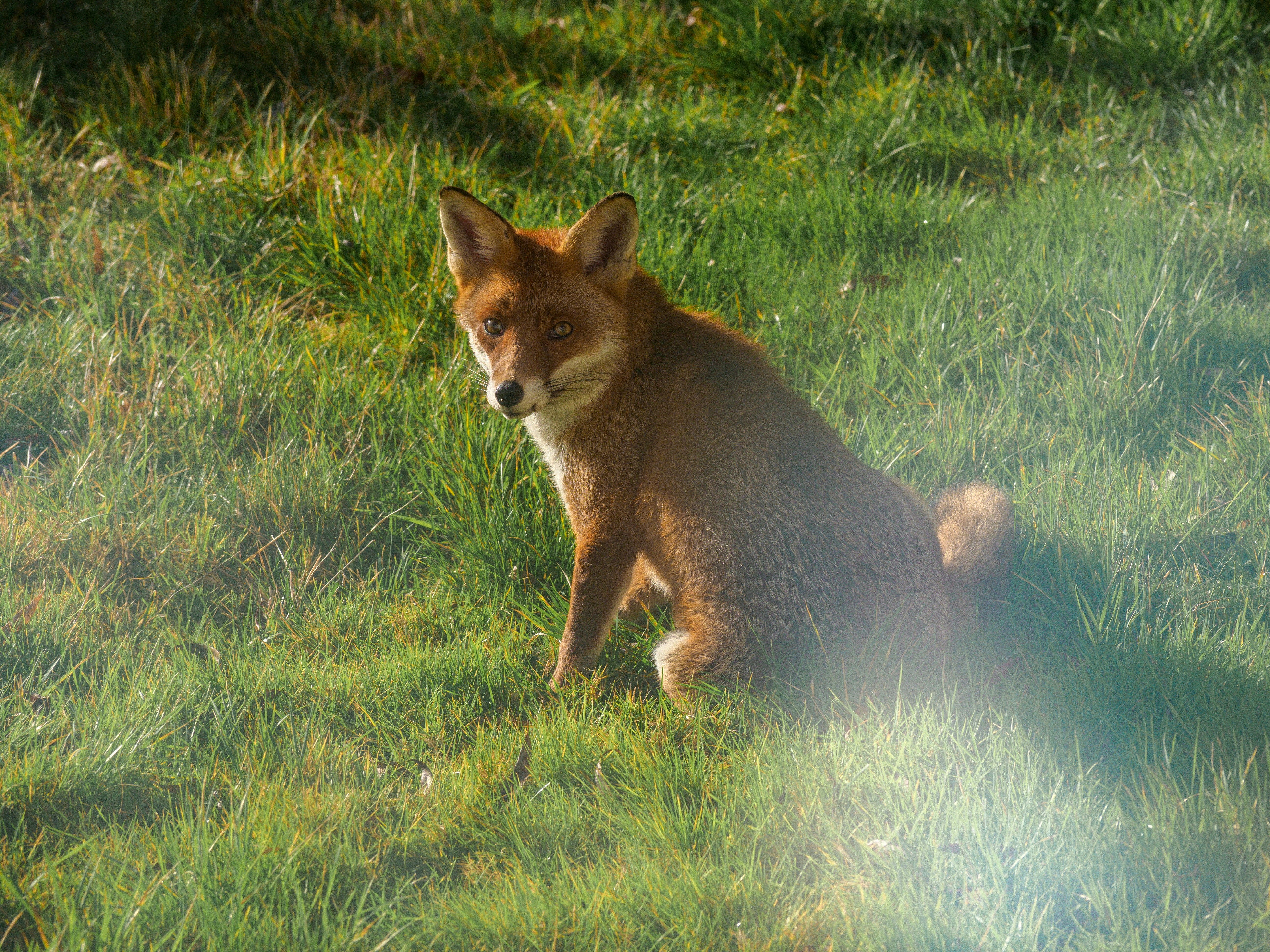 Photo by brett_jordan