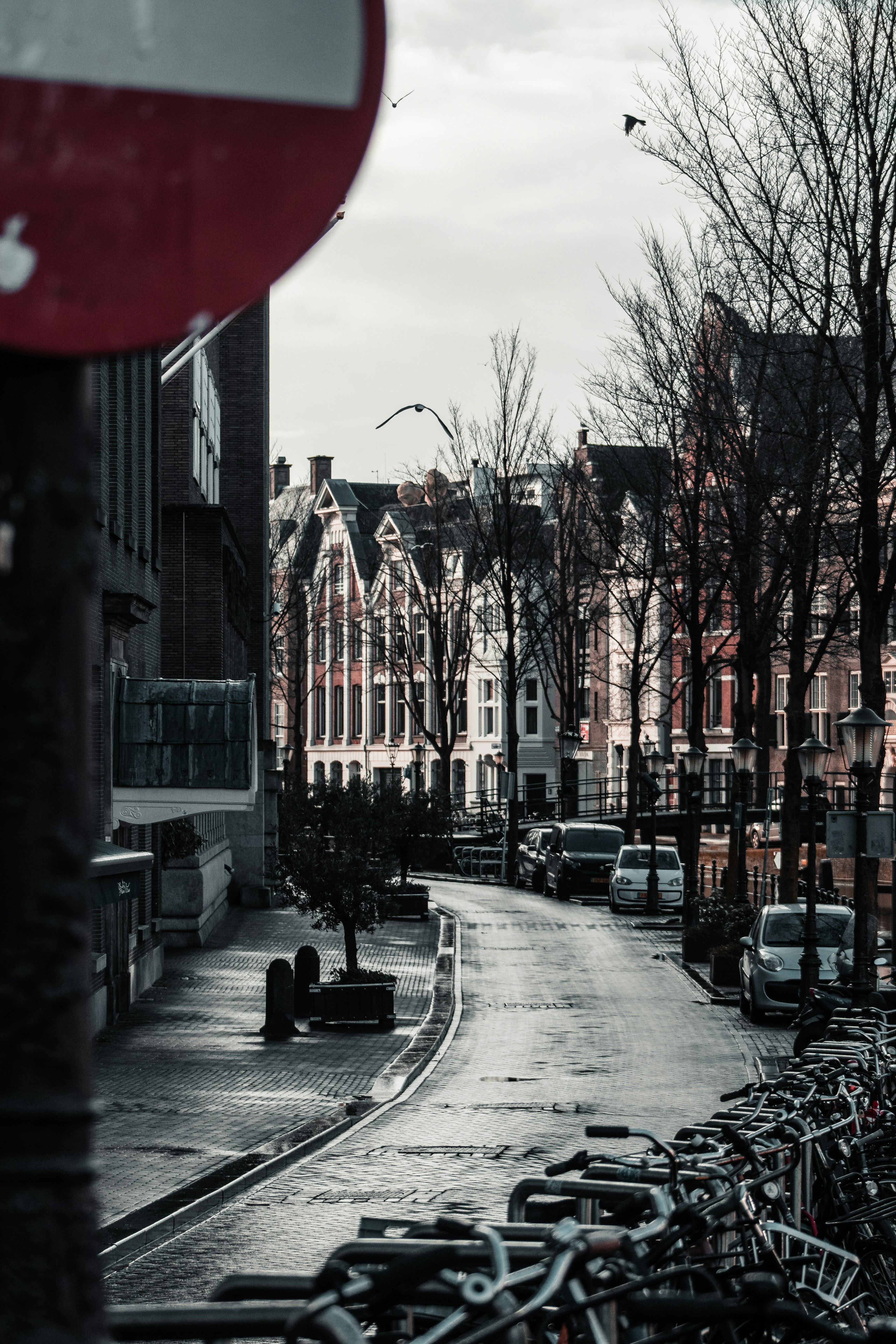 Photo by remco_marien