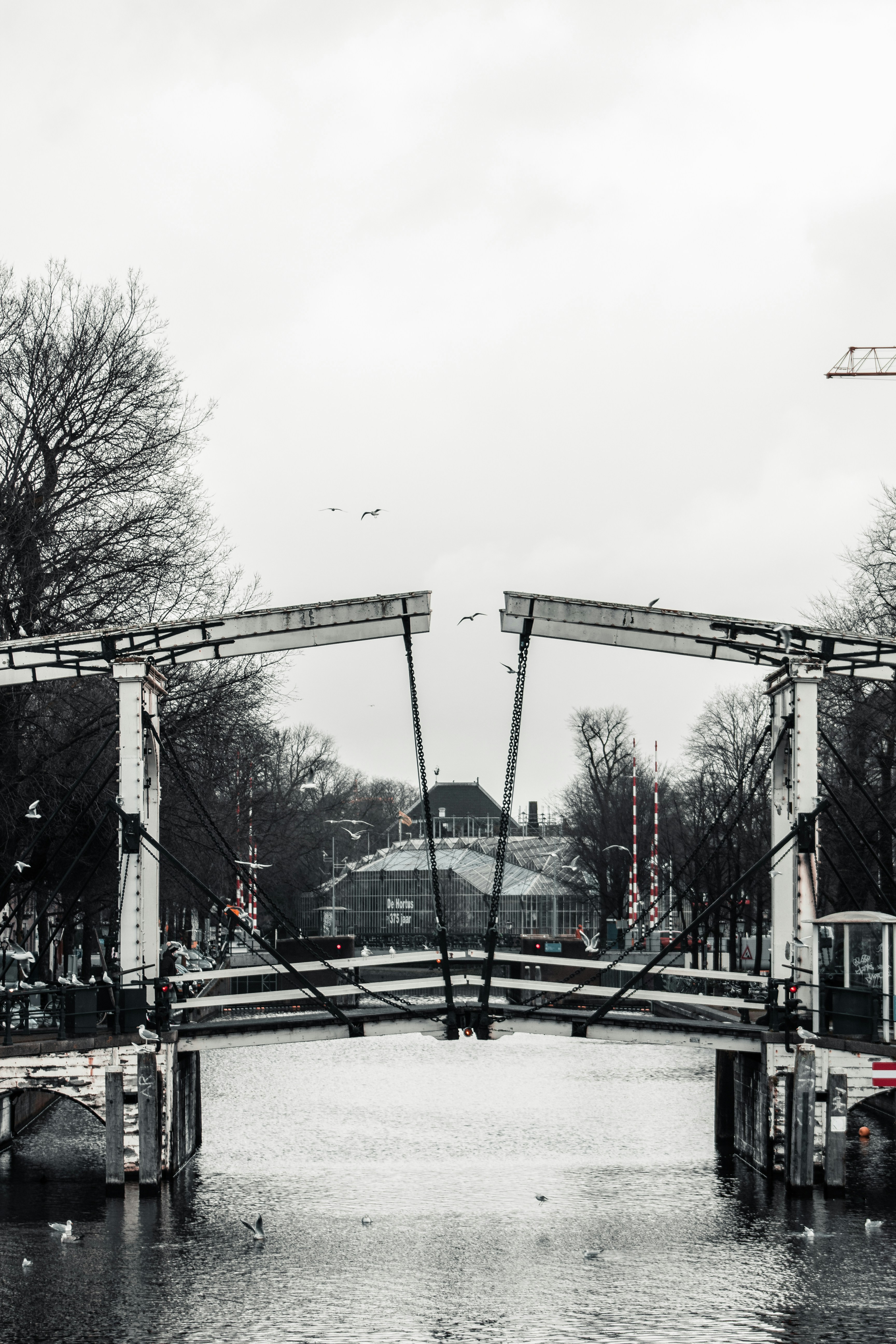 昼間の白い空の下の裸の木の近くの黒い金属電柱の写真 Unsplashで見つけるアムステルダムの無料写真