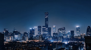 city skyline during night time