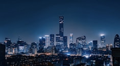 city skyline during night time