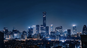 city skyline during night time