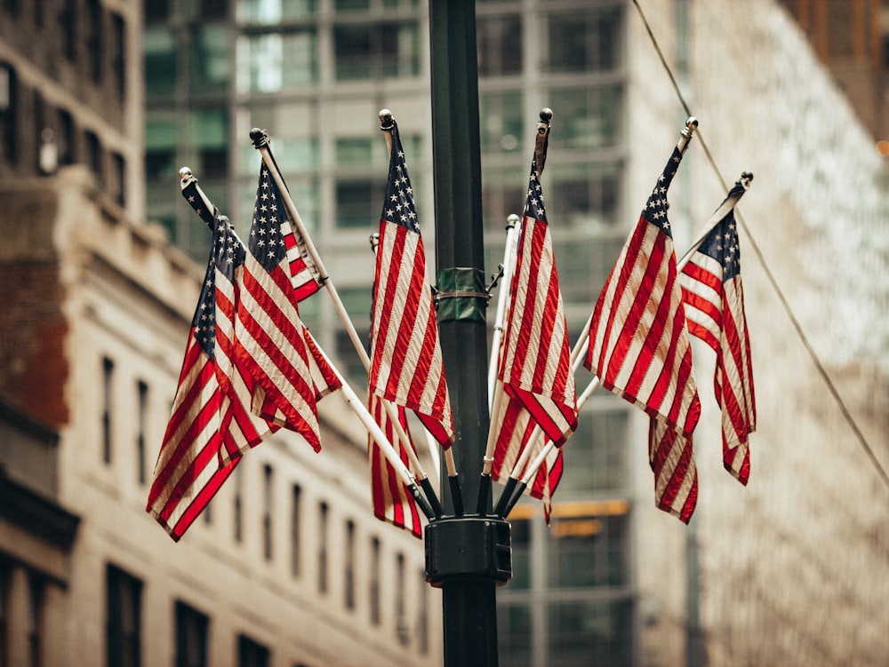 flags on poles during daytime