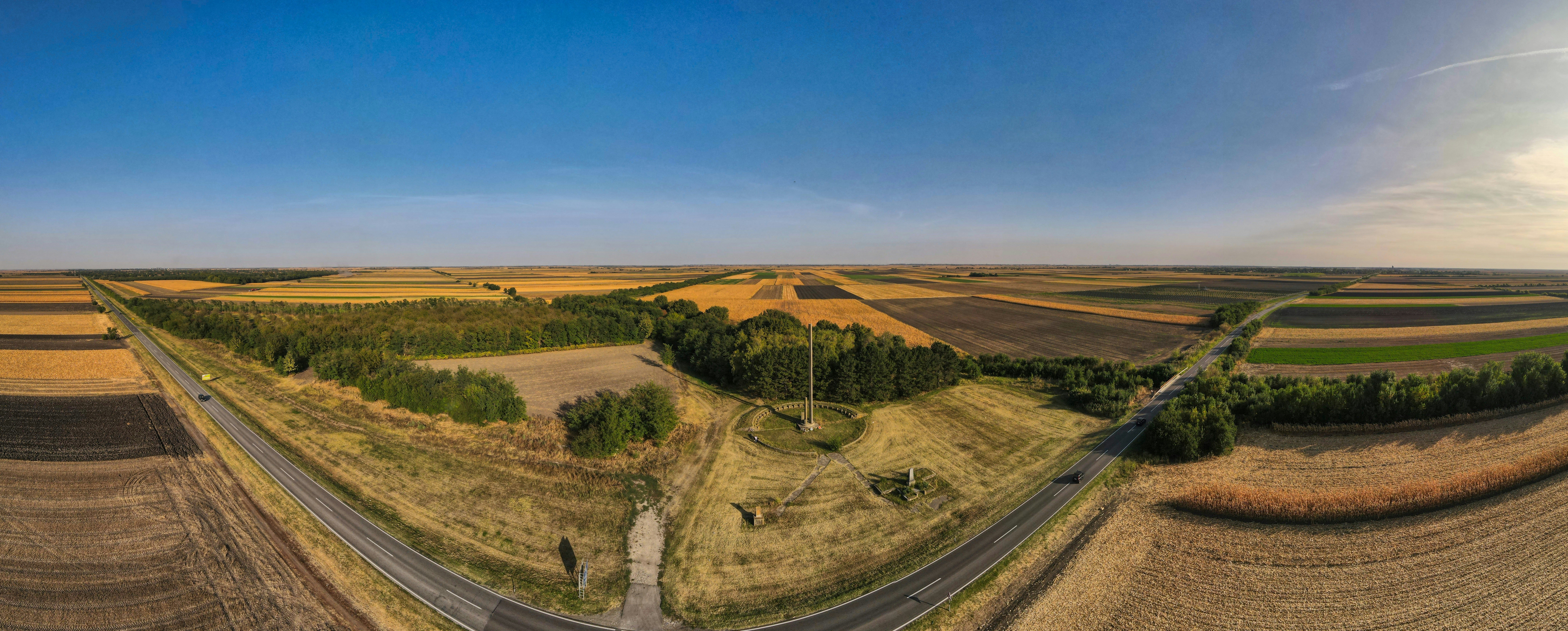 green grass field under blue sky during daytime