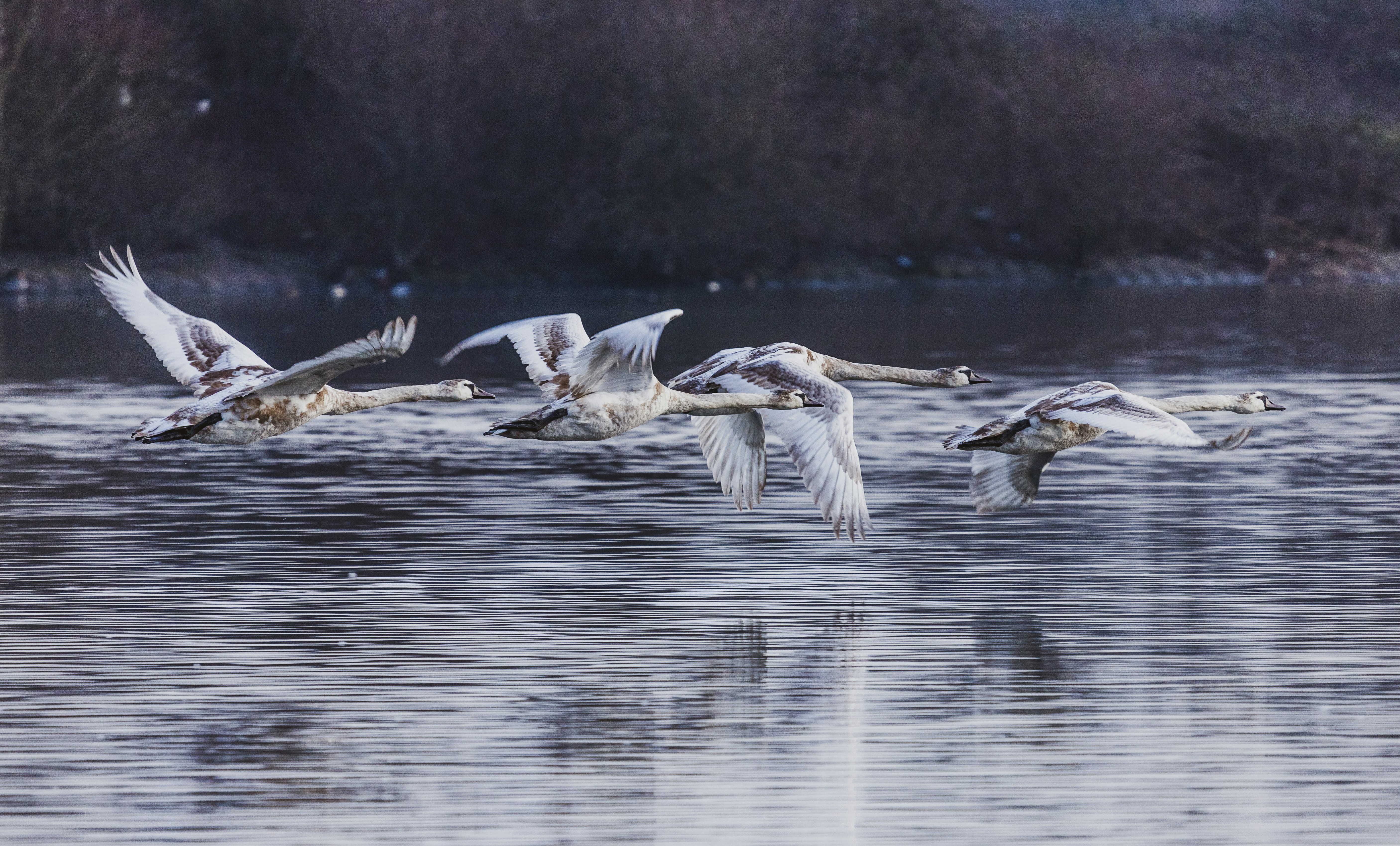 Photo by grievek1610begur