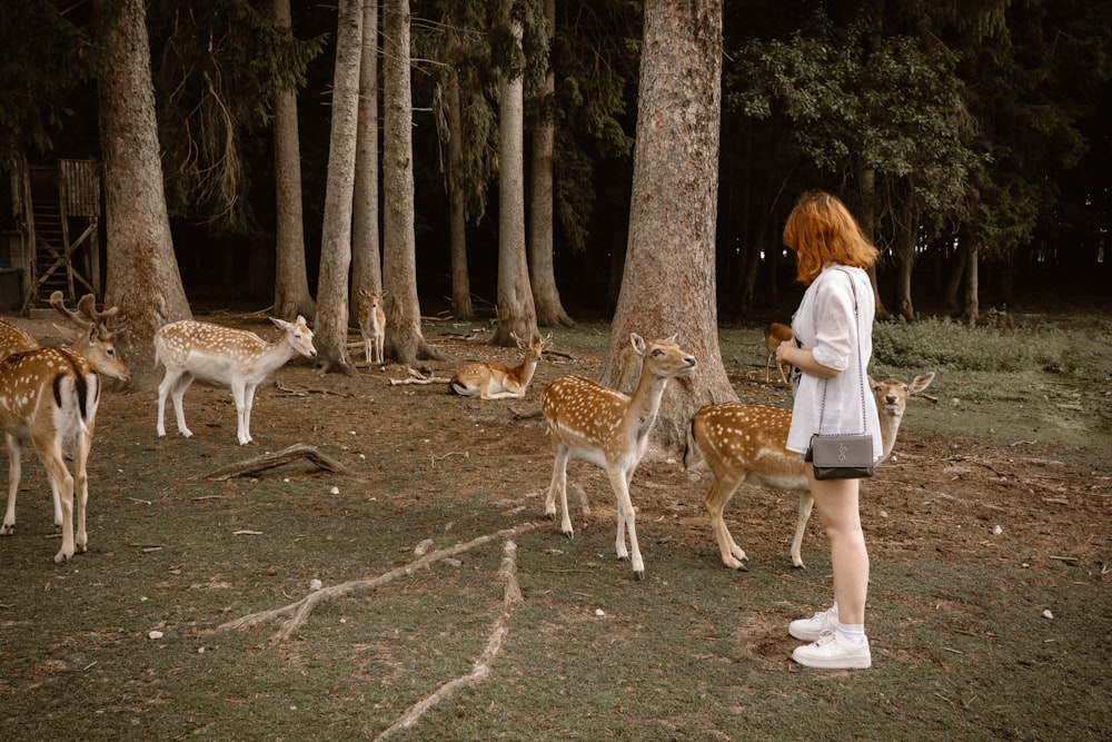 woman in white long sleeve shirt standing beside brown and white deer during daytime