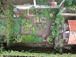 An aerial view of a neatly organized vegetable garden with various plants growing in separate square and rectangular plots. The garden is surrounded by a green hedge and features a small structure with a red-tiled roof. Garden tools and a coiled hose are visible along a fence, and a couple of plastic containers are placed in one corner.