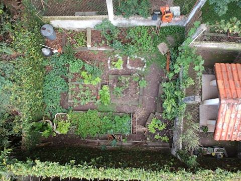 An aerial view of a neatly organized vegetable garden with various plants growing in separate square and rectangular plots. The garden is surrounded by a green hedge and features a small structure with a red-tiled roof. Garden tools and a coiled hose are visible along a fence, and a couple of plastic containers are placed in one corner.