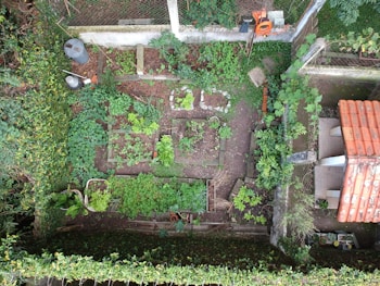 An aerial view of a neatly organized vegetable garden with various plants growing in separate square and rectangular plots. The garden is surrounded by a green hedge and features a small structure with a red-tiled roof. Garden tools and a coiled hose are visible along a fence, and a couple of plastic containers are placed in one corner.