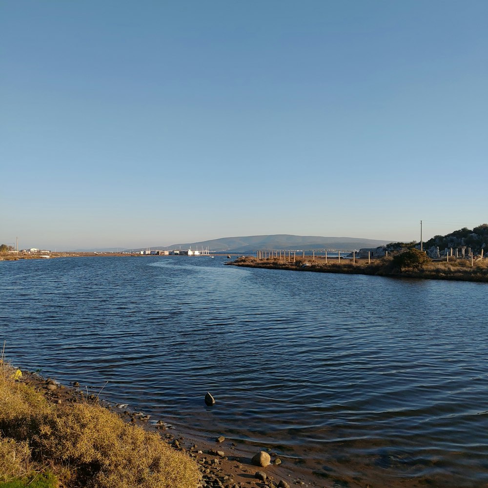 body of water near green grass field during daytime