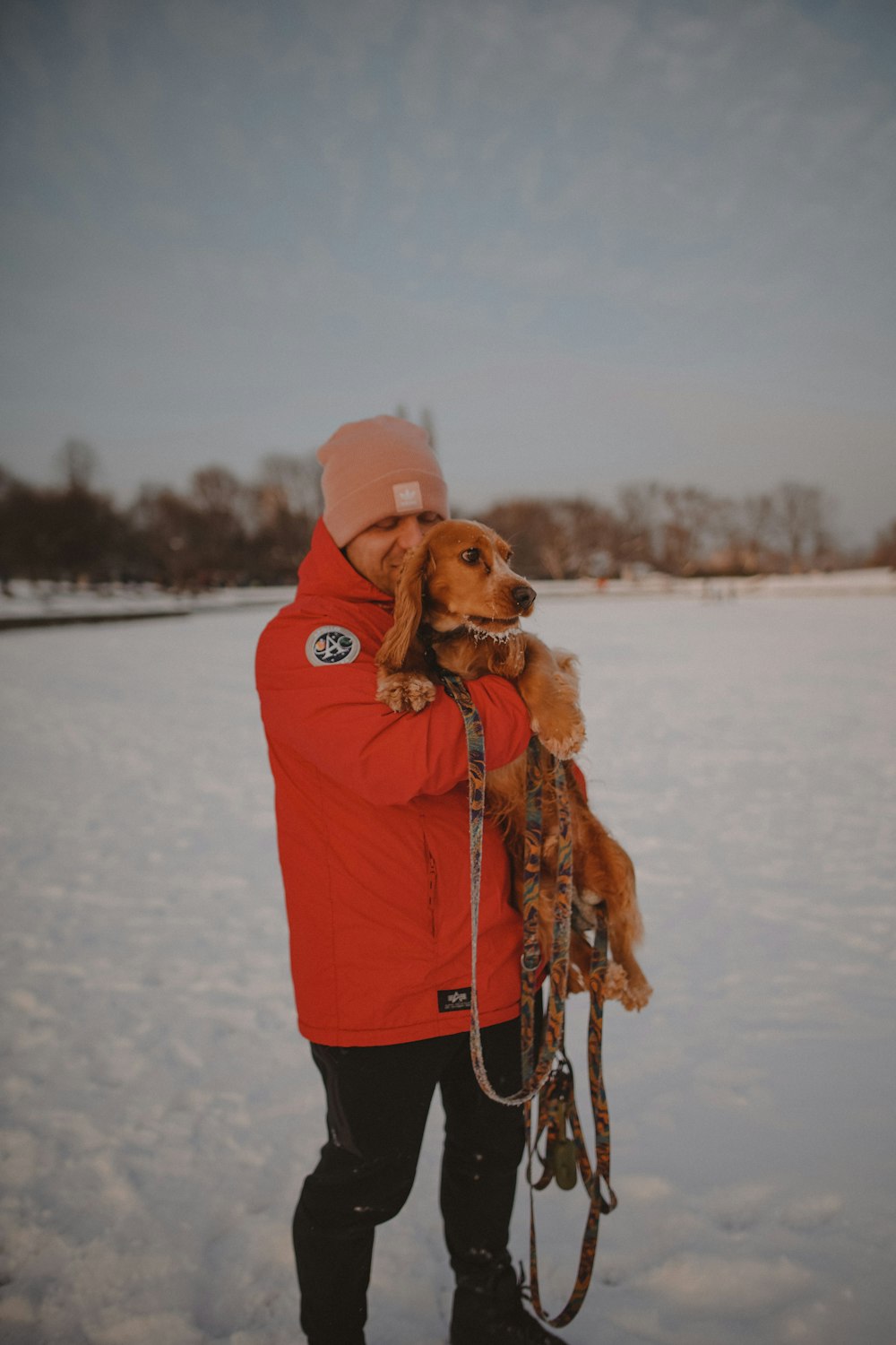 brown short coated dog wearing red hoodie