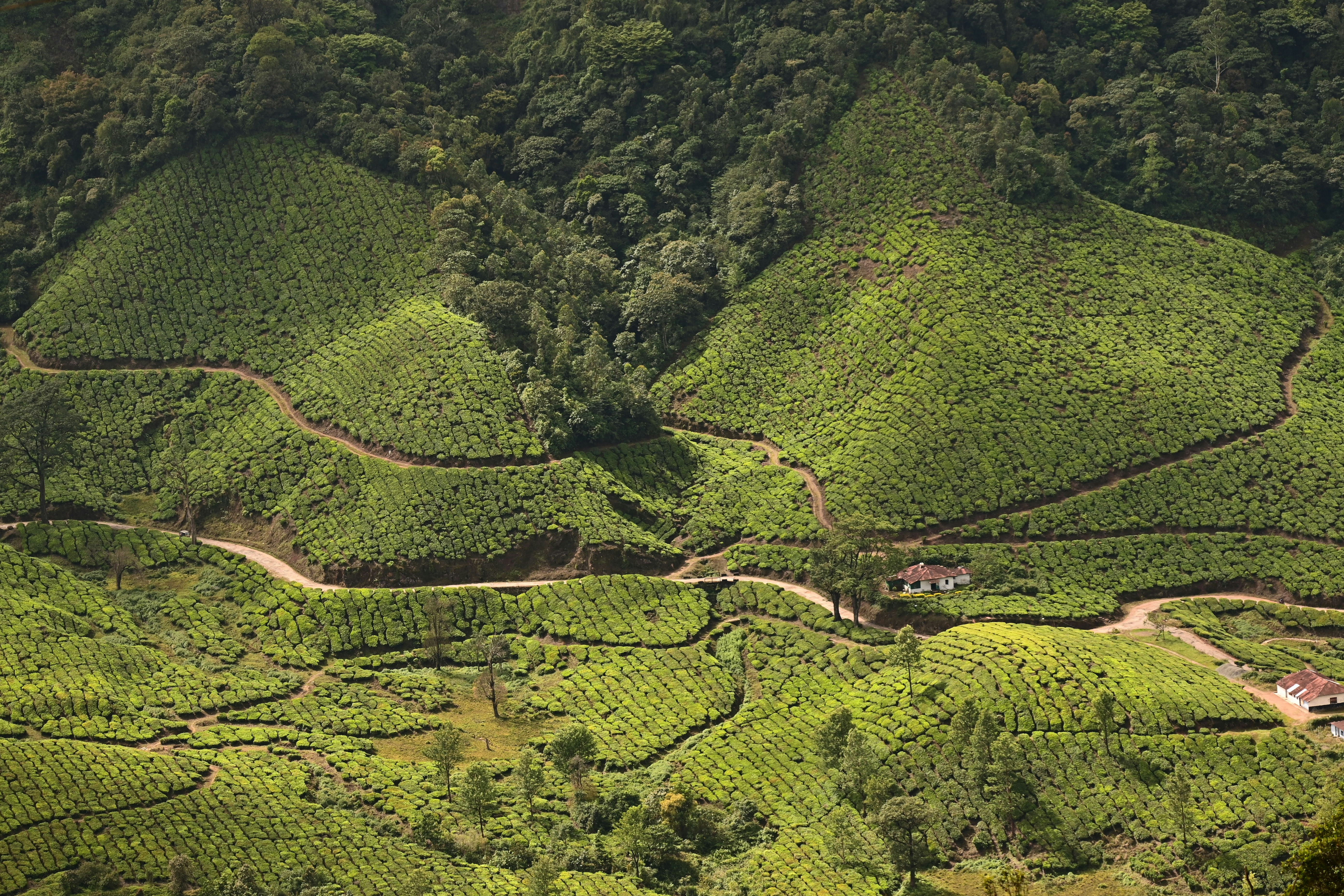 Photo by chandrahash