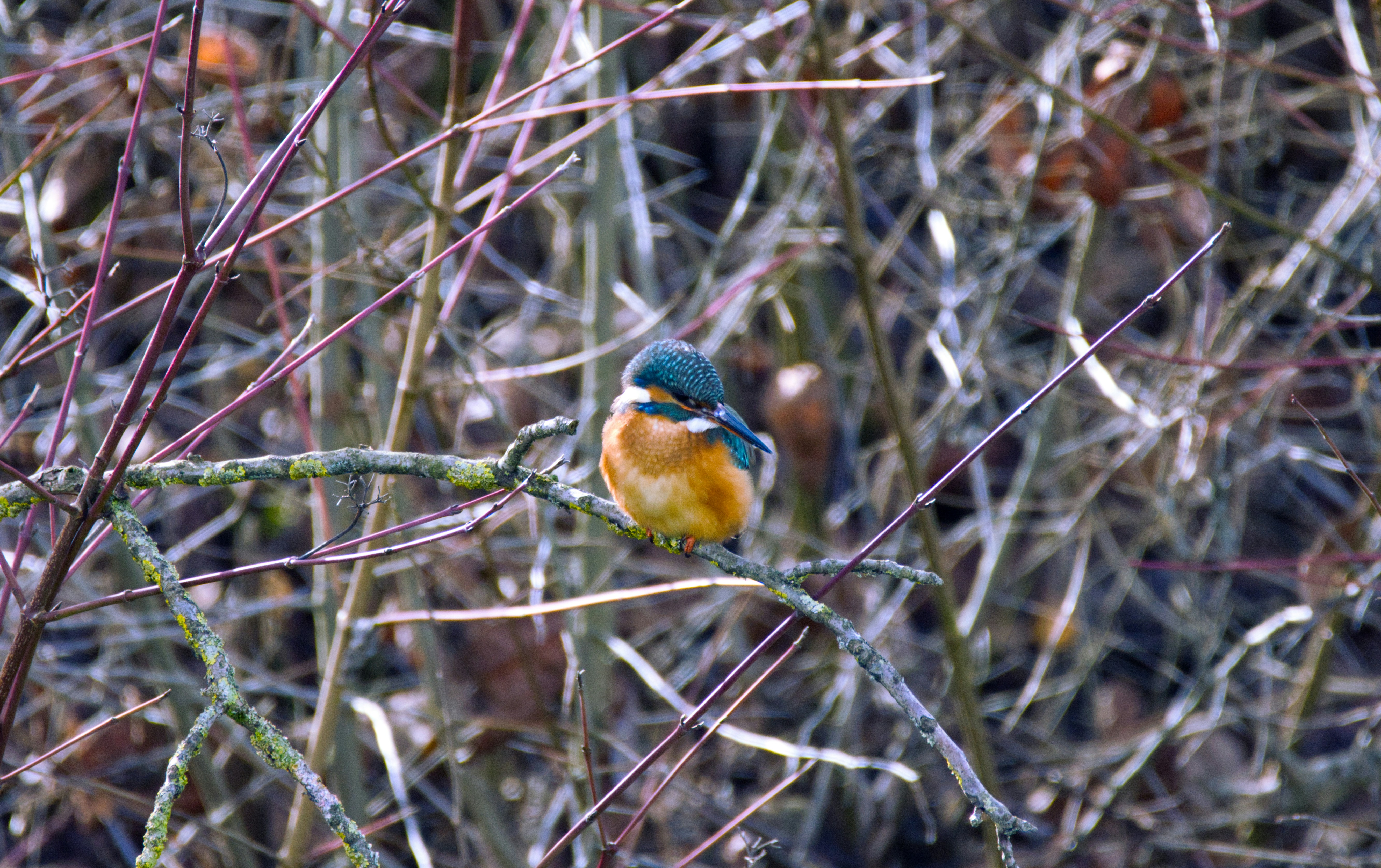 Photo by photasticlab