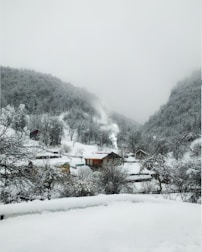A cozy cabin nestled in a snowy forest with smoke rising from the chimney.