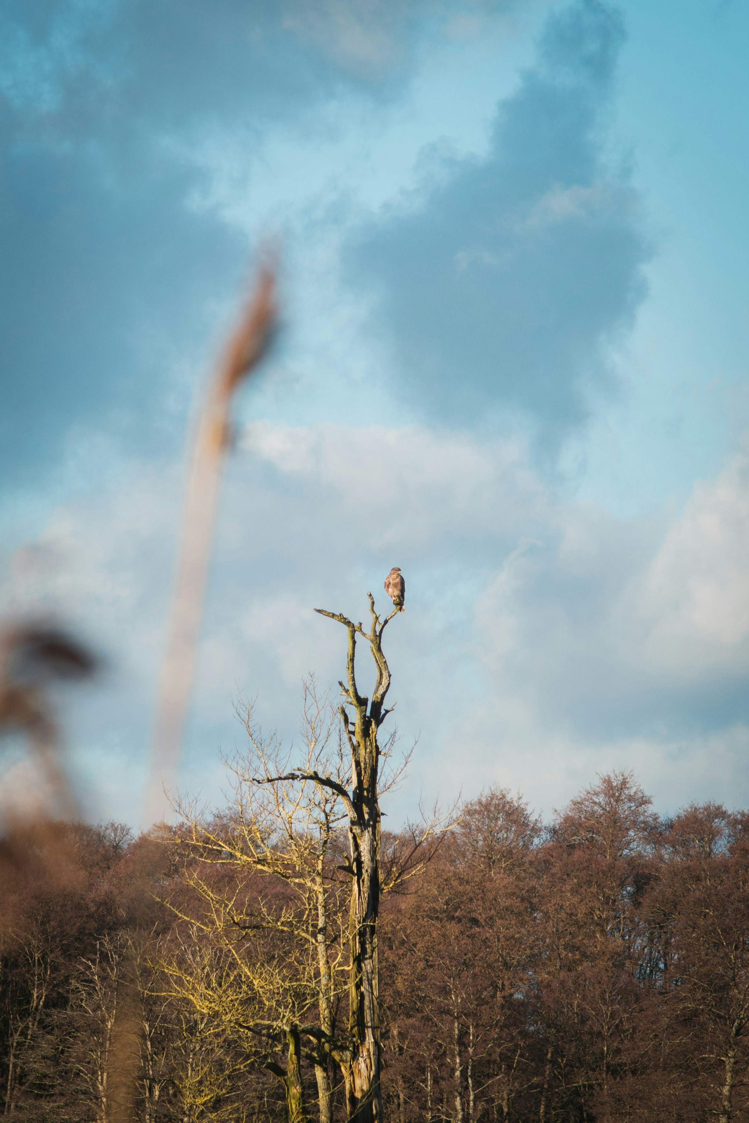 Photo by alken