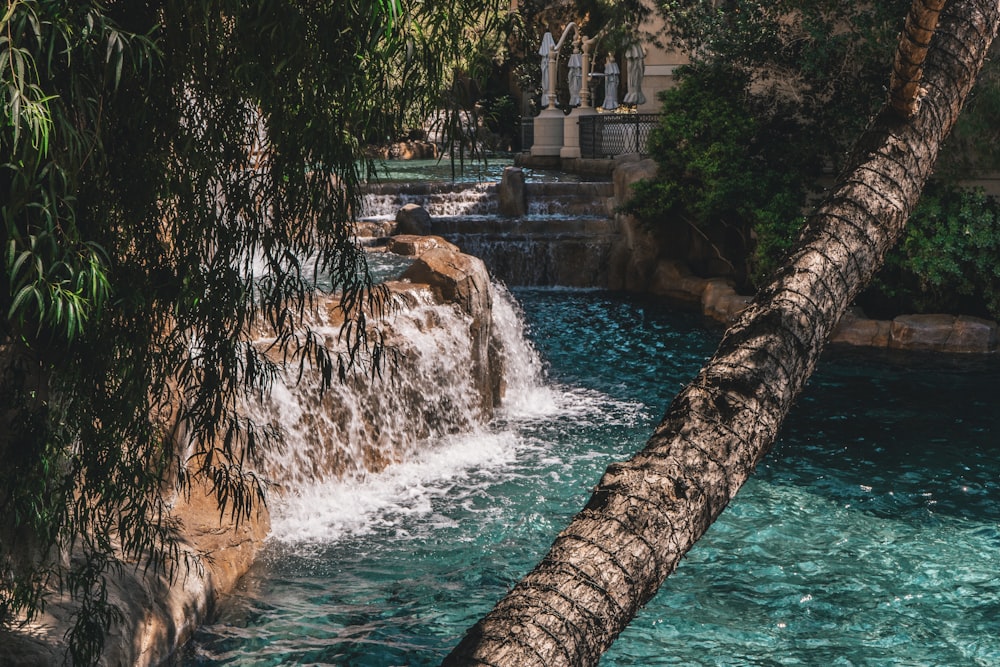 El agua cae en medio del bosque