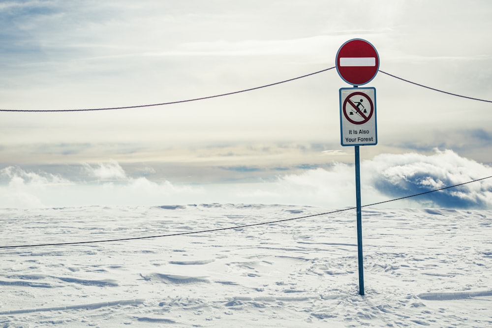 red and white stop sign on snow covered ground under white cloudy sky during daytime