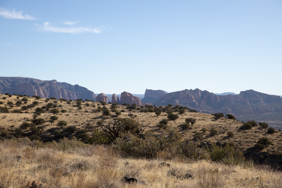 Santa Rita Mountains with oak and grassland understory — Unit 33 Coues deer habitat