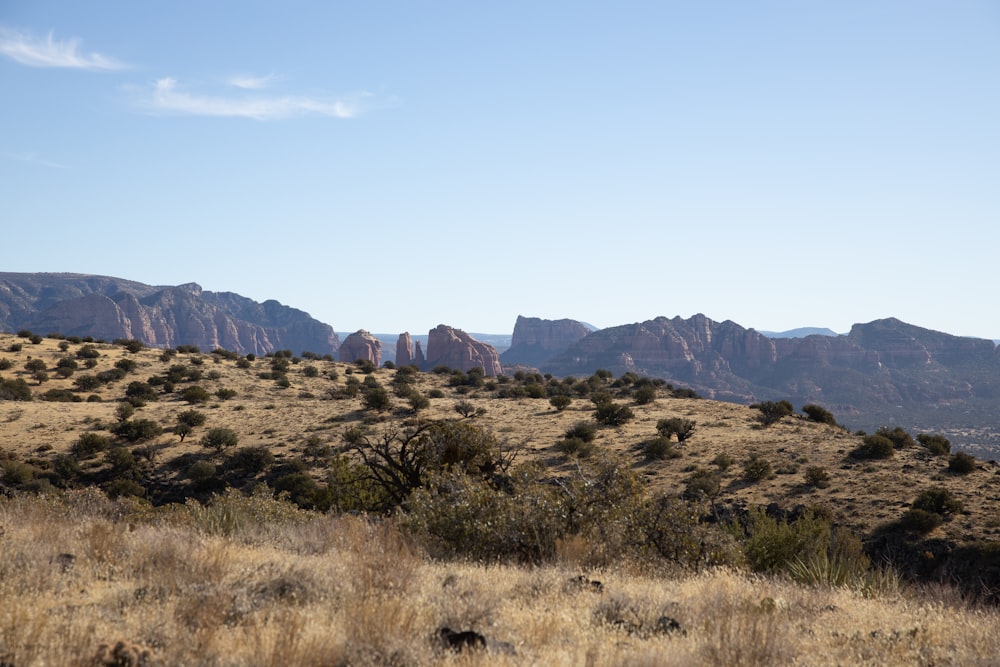 brown grass field near brown mountain under blue sky during daytime