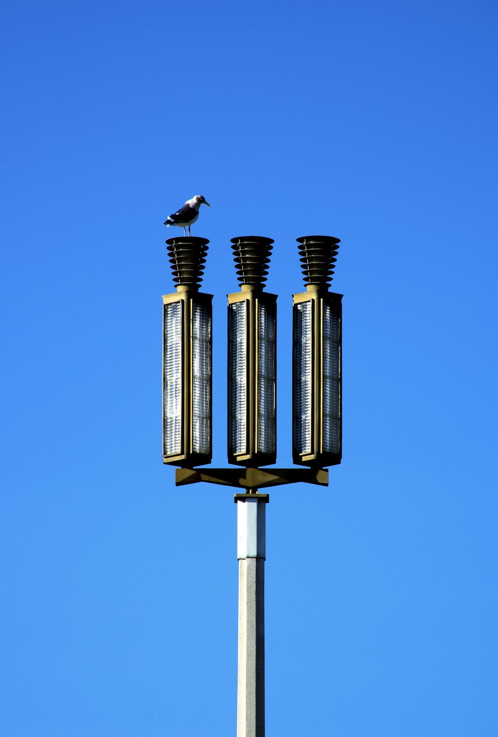 gray and black street lamp